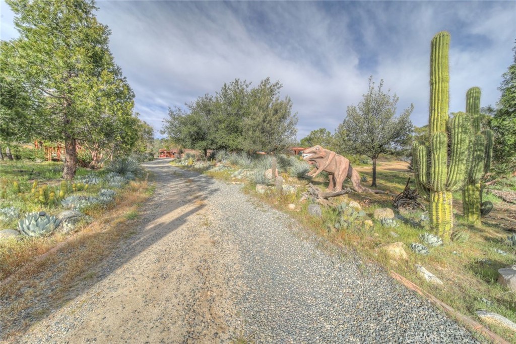 37440 Old Forest Road Anza, CA 92539 - Photo 66 of 72