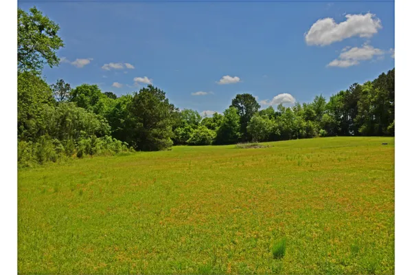 $25,000 | 0 Ridgelake(lot 24) Circle, St. Matthews, SC 29135