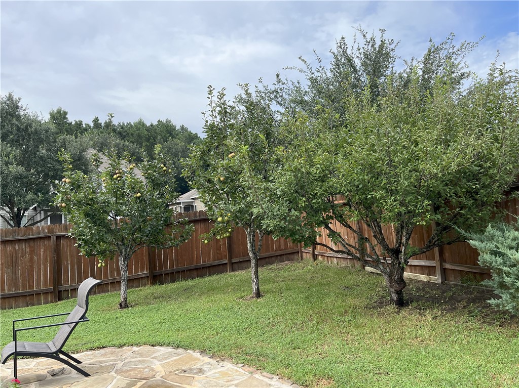 301 Pine Mist Lane Conroe, TX 77304 - Photo 25 of 35