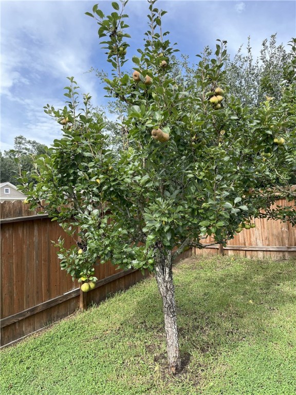 301 Pine Mist Lane Conroe, TX 77304 - Photo 26 of 35