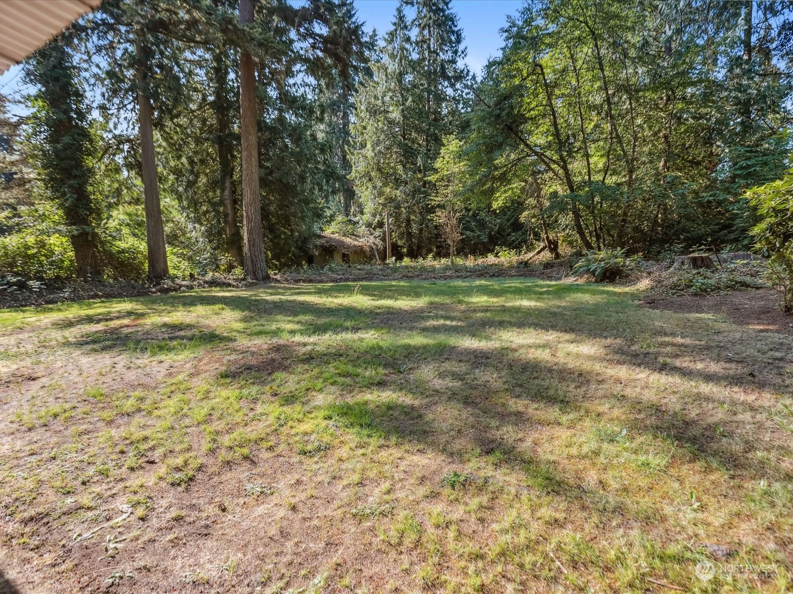 4330 200th Street Southeast Bothell, WA 98012 - Photo 23 of 36 a big yard with trees