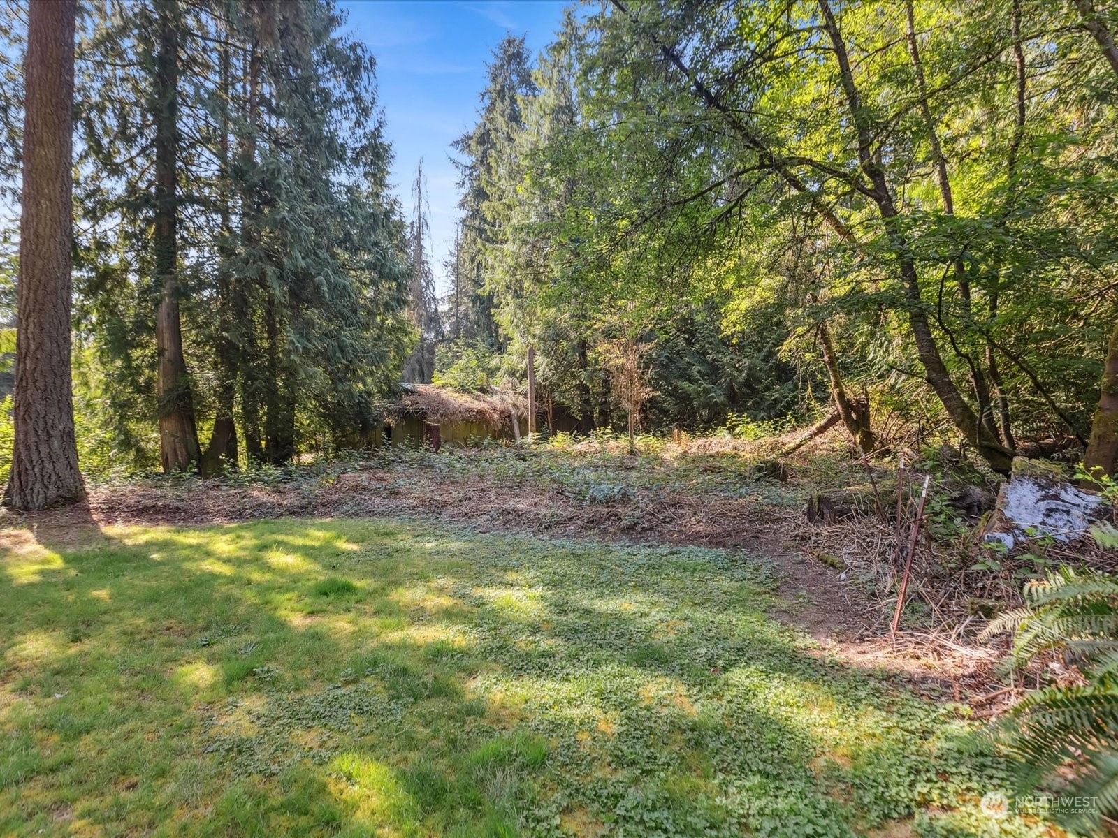 4330 200th Street Southeast Bothell, WA 98012 - Photo 24 of 36 a view of a yard with a tree