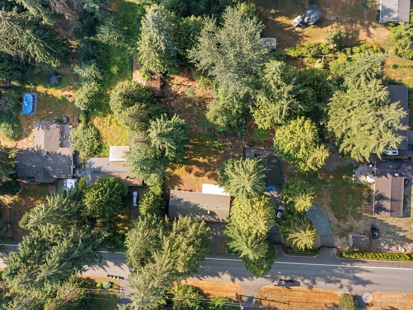 4330 200th Street Southeast Bothell, WA 98012 - Photo 33 of 36 a view of a garden with plants