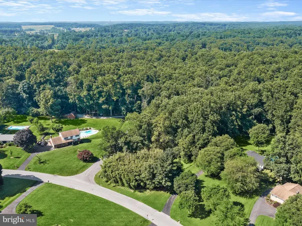 a view of a lush green forest with a park