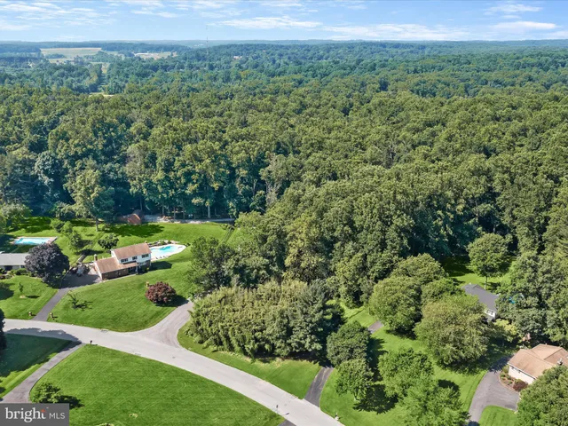 a view of a lush green forest with a park