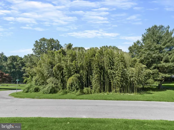 a view of a road with a yard