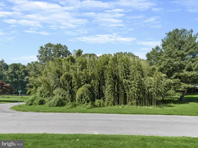 a view of a road with a yard