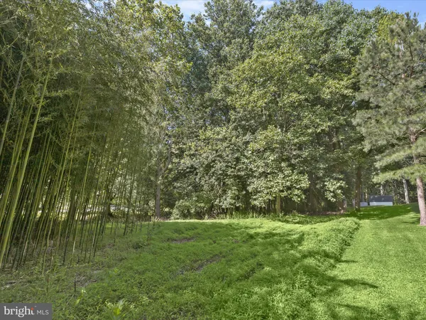 a view of outdoor space