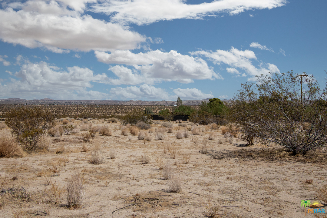 6556 Sunkist Road Joshua Tree, CA 92252 - Photo 15 of 17 a view of a dry yard with wooden fence