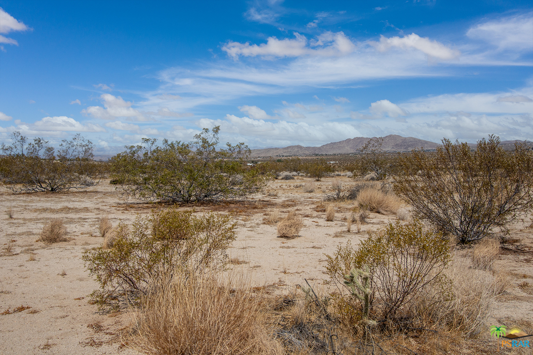 6556 Sunkist Road Joshua Tree, CA 92252 - Photo 16 of 17 a view of lake with mountain