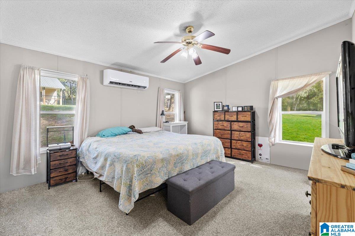 67 Pike Road Remlap, AL 35133 - Photo 9 of 21 Gallery Image 9
