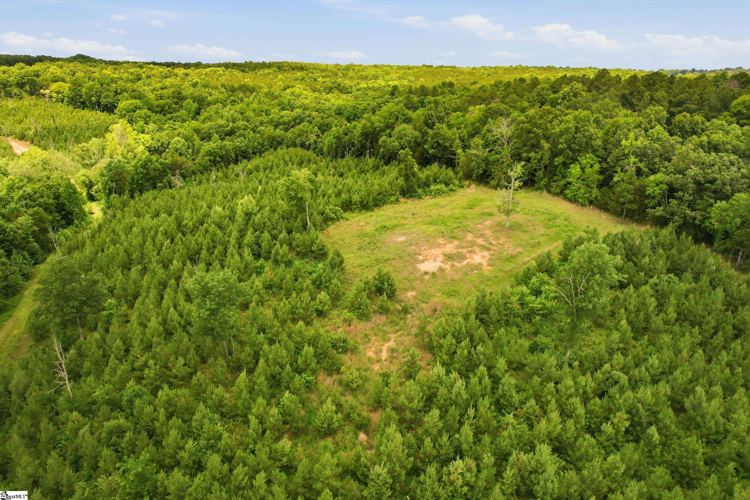 839 Duncan Creek Church Road Clinton, SC 29325 - Photo 19 of 50