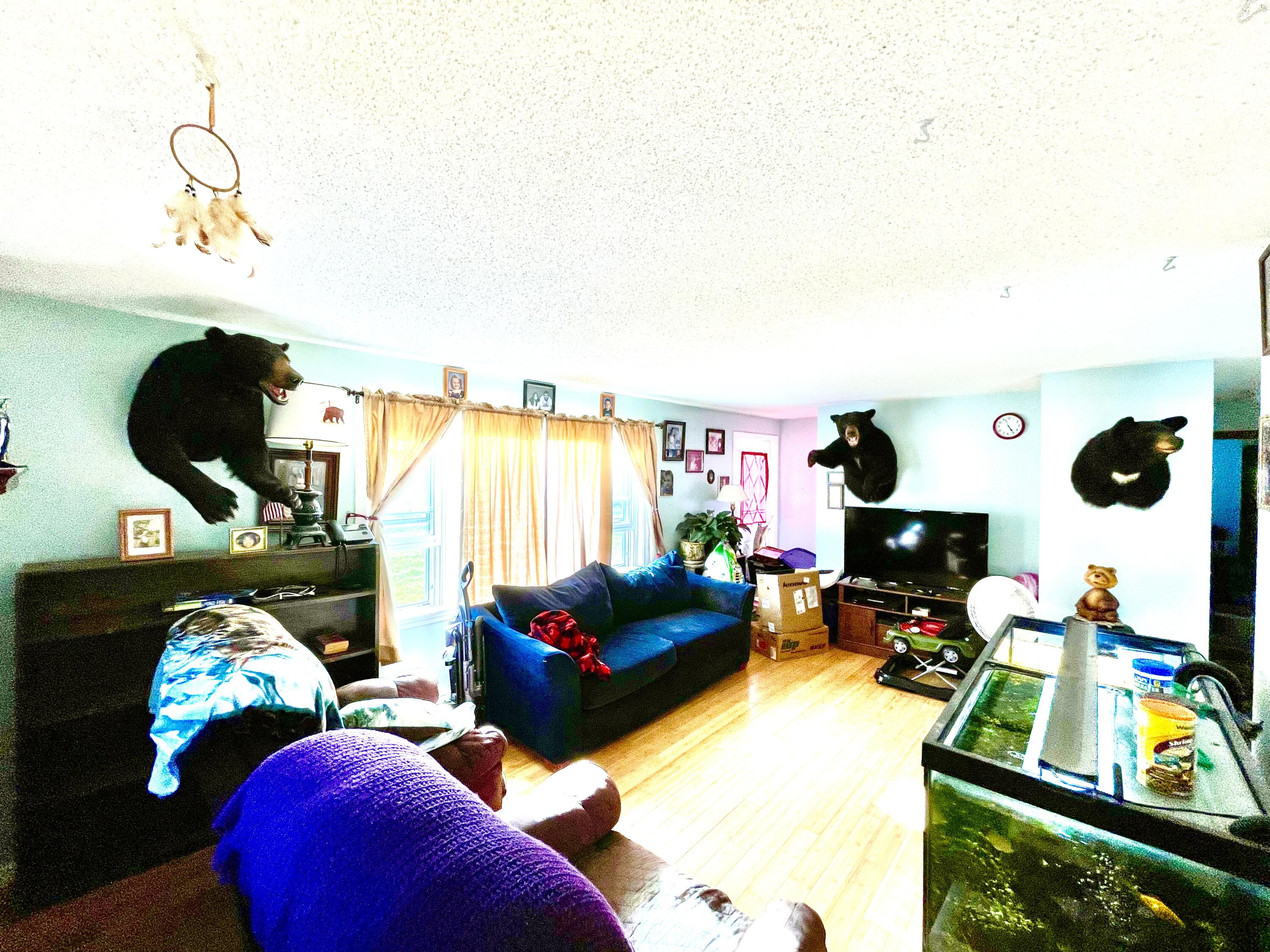 502 Ridge Road Plymouth, ME 04969 - Photo 39 of 63 FF5142F3-2F99-45F8-80C0-6947076F239B