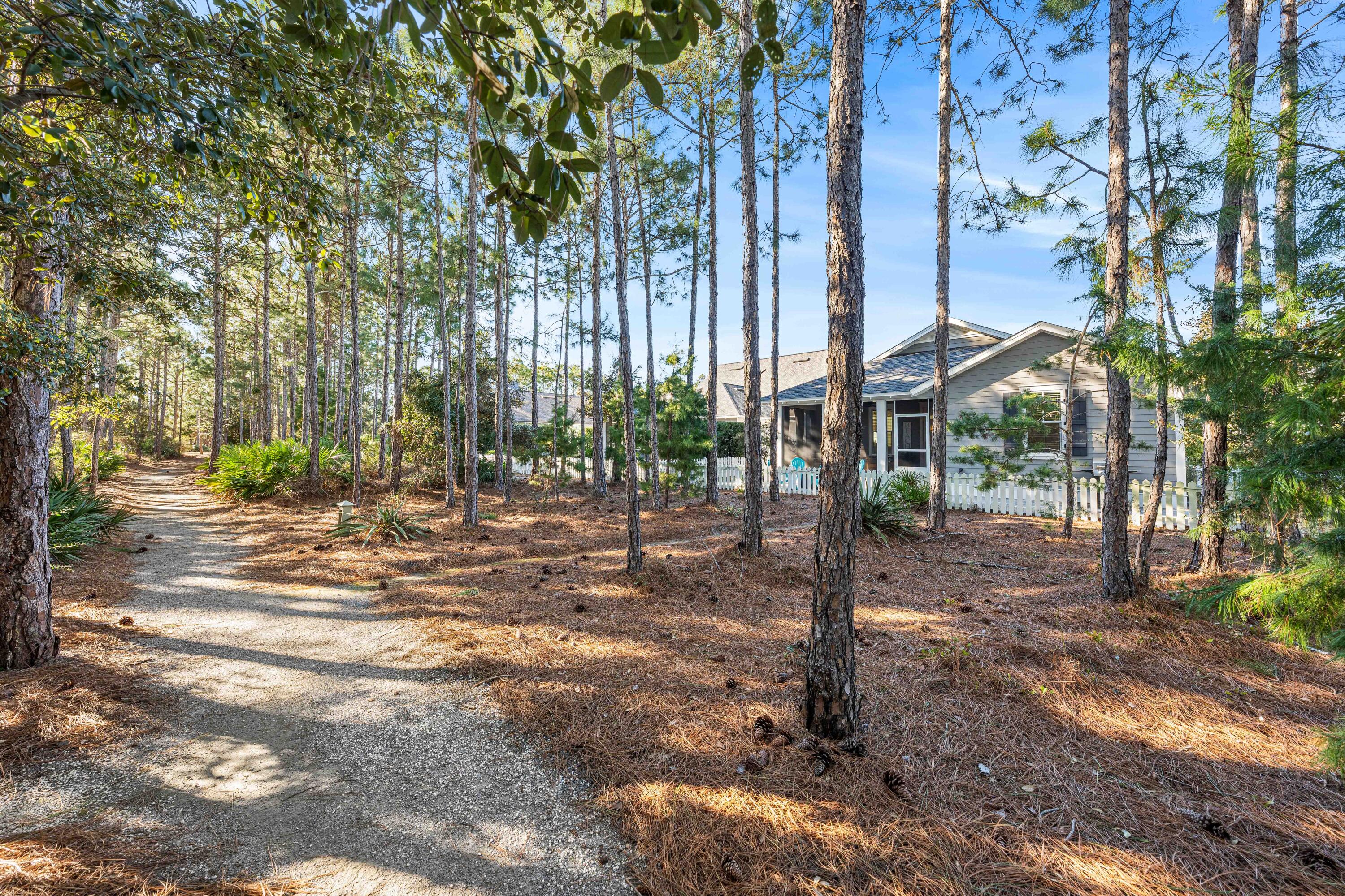 81 Jack Knife Drive Inlet Beach, FL 32461 - Photo 13 of 56 1.13 18 Jack Knife-16