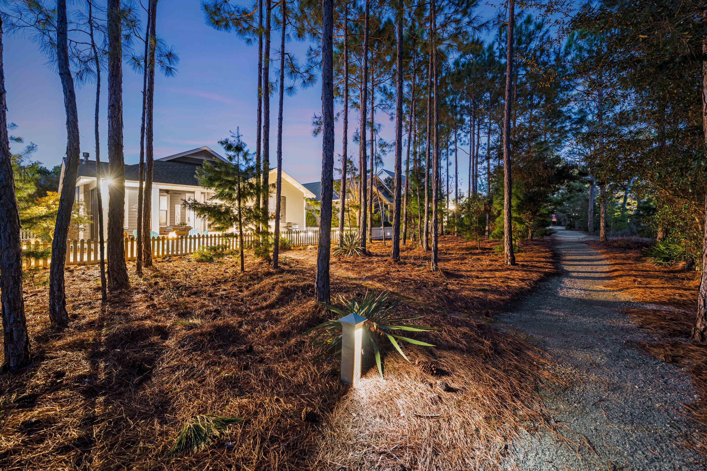 81 Jack Knife Drive Inlet Beach, FL 32461 - Photo 19 of 56 1.19 18 Jack Knife-61