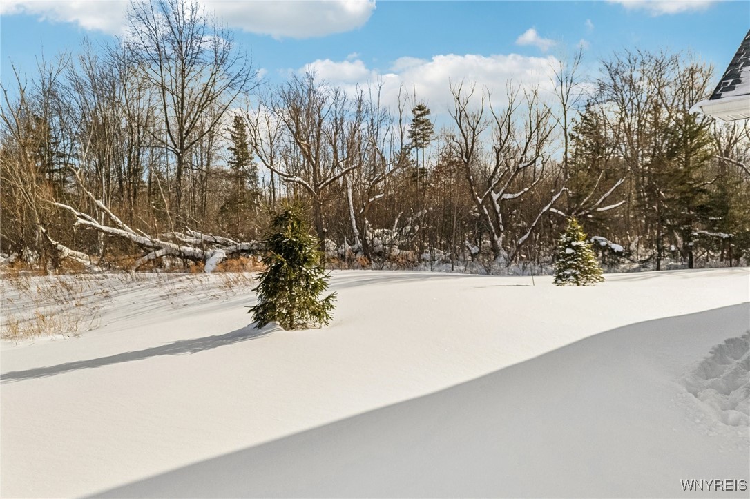 6385 Boston State Road, Unit 13 Hamburg, NY 14075 - Photo 43 of 43