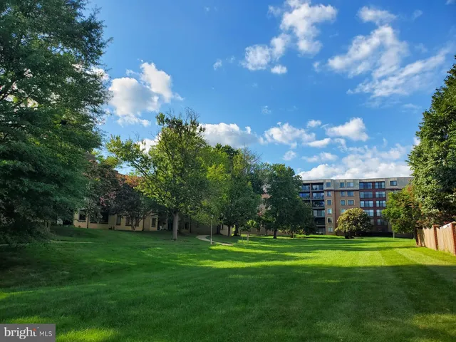 a view of a green field