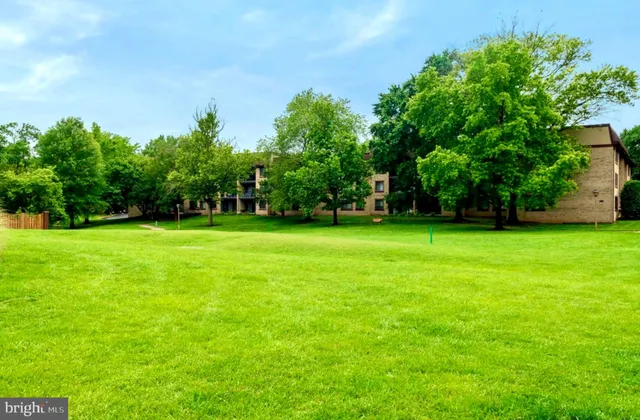 a view of a grassy field with trees in the background