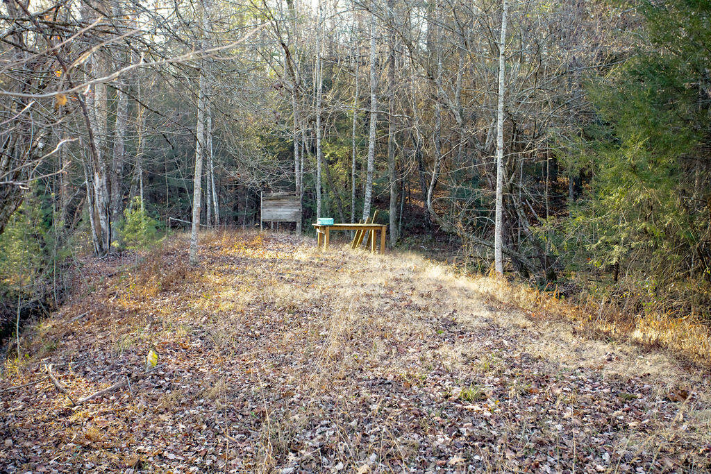 1006 Heizer Hill Road Wellington, KY 40387 - Photo 25 of 29 0V6A9901