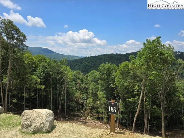 $90,000 | Lot 185 Raspberry Lane, Elk Park, NC 28622
