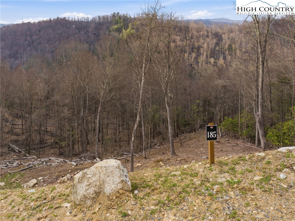 Lot 185 Raspberry Lane Elk Park, NC 28622 - Photo 11 of 23