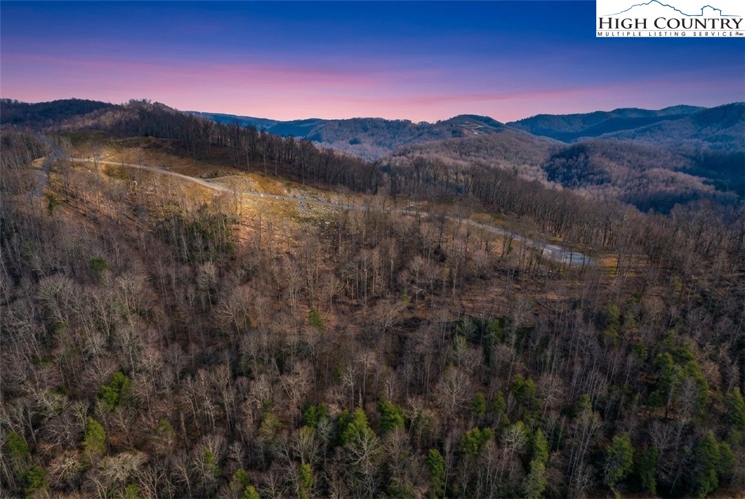 Lot 185 Raspberry Lane Elk Park, NC 28622 - Photo 16 of 23