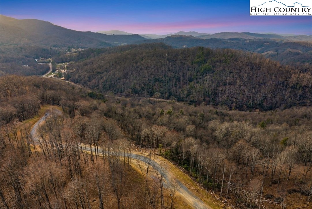 Lot 185 Raspberry Lane Elk Park, NC 28622 - Photo 18 of 23