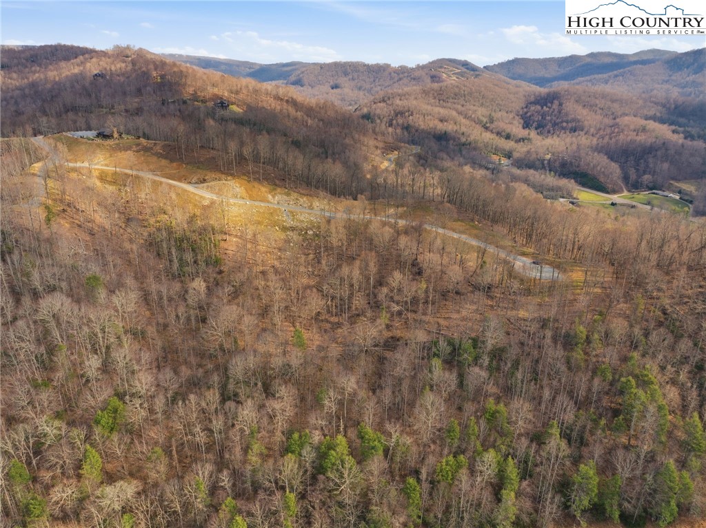 Lot 185 Raspberry Lane Elk Park, NC 28622 - Photo 19 of 23