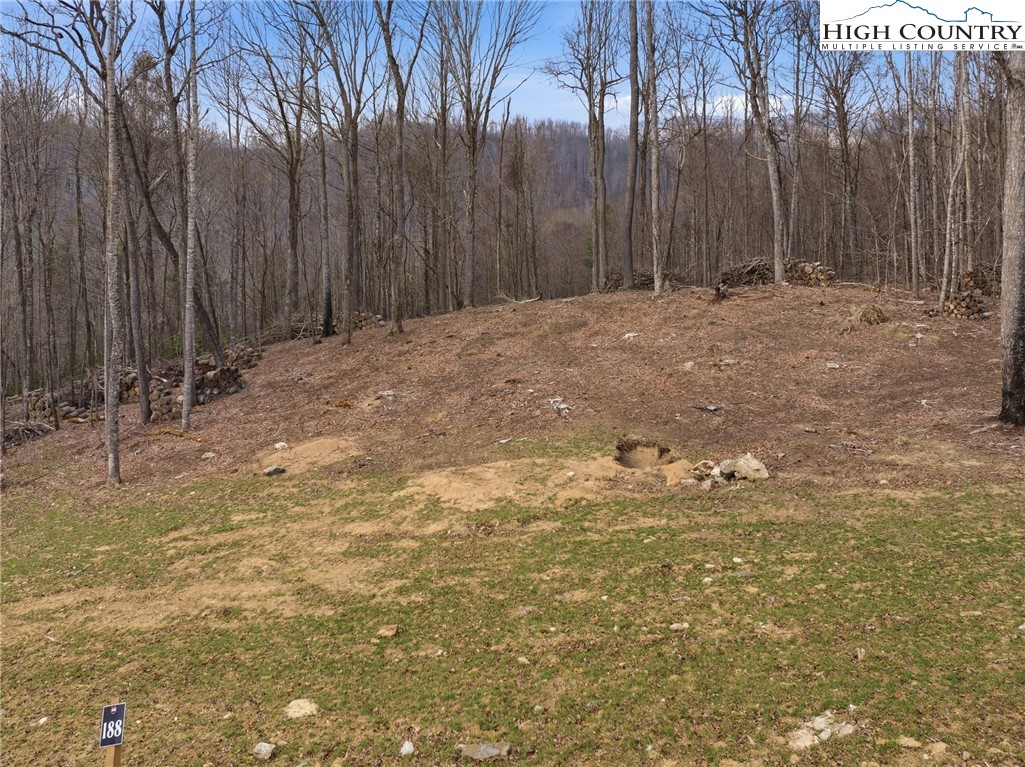 Lot 185 Raspberry Lane Elk Park, NC 28622 - Photo 5 of 23