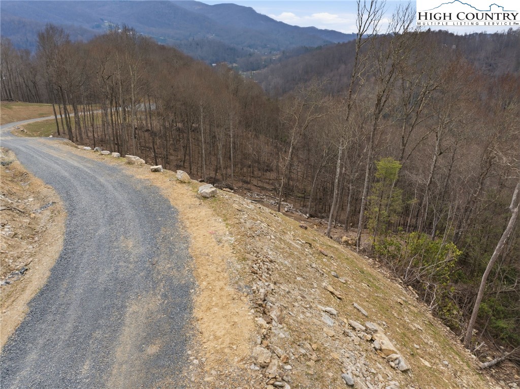 Lot 185 Raspberry Lane Elk Park, NC 28622 - Photo 6 of 23