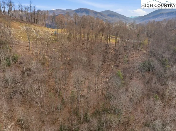 a view of a forest with a mountain in the background