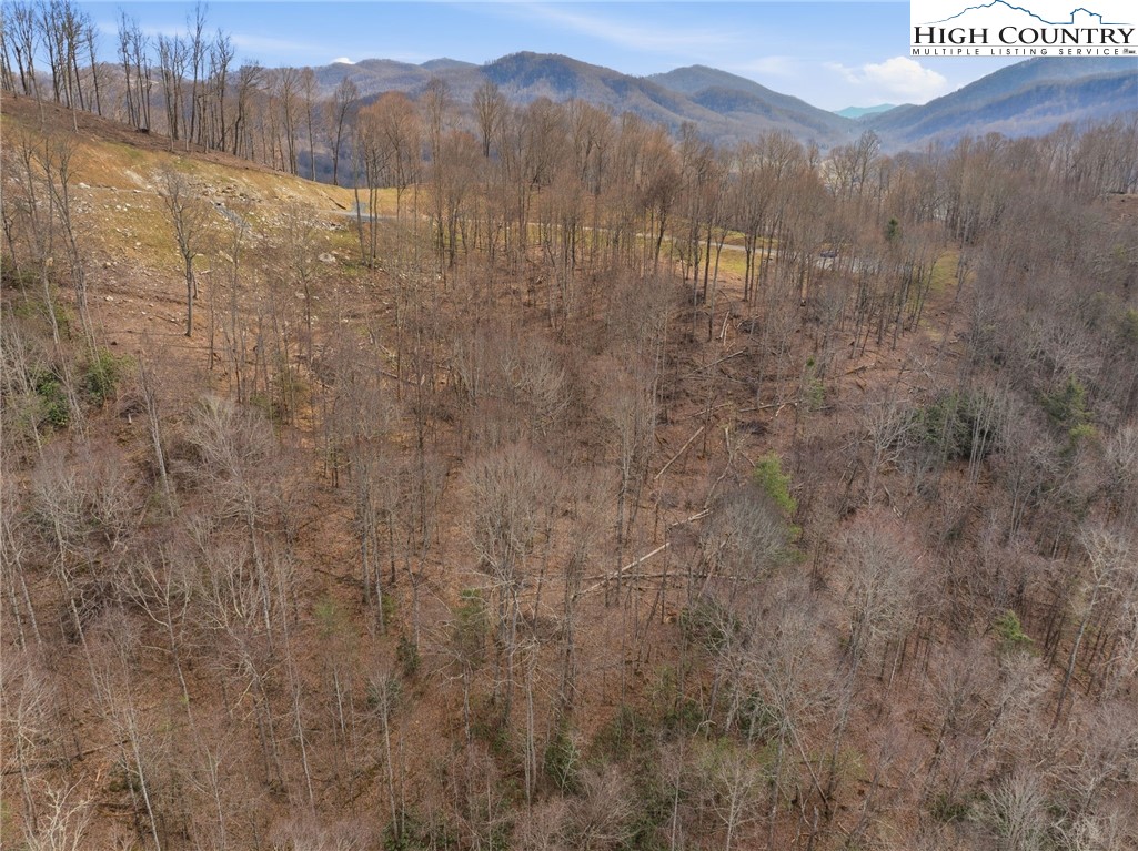 Lot 185 Raspberry Lane Elk Park, NC 28622 - Photo 8 of 23