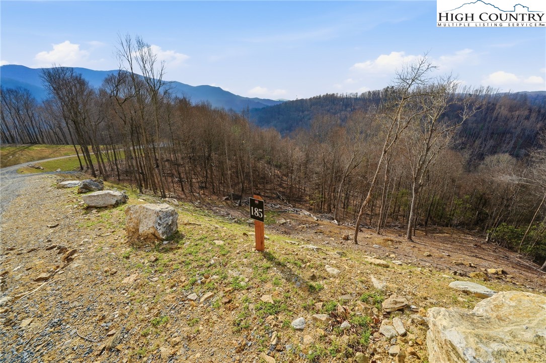 Lot 185 Raspberry Lane Elk Park, NC 28622 - Photo 9 of 23