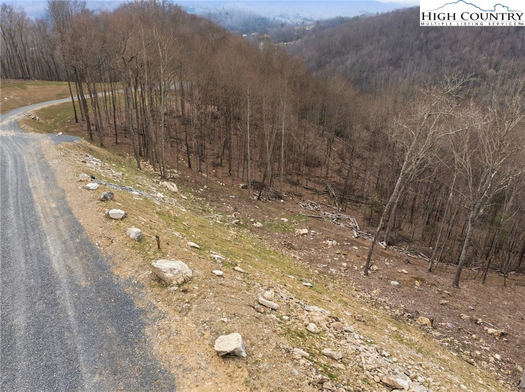 Lot 185 Raspberry Lane Elk Park, NC 28622 - Photo 10 of 23