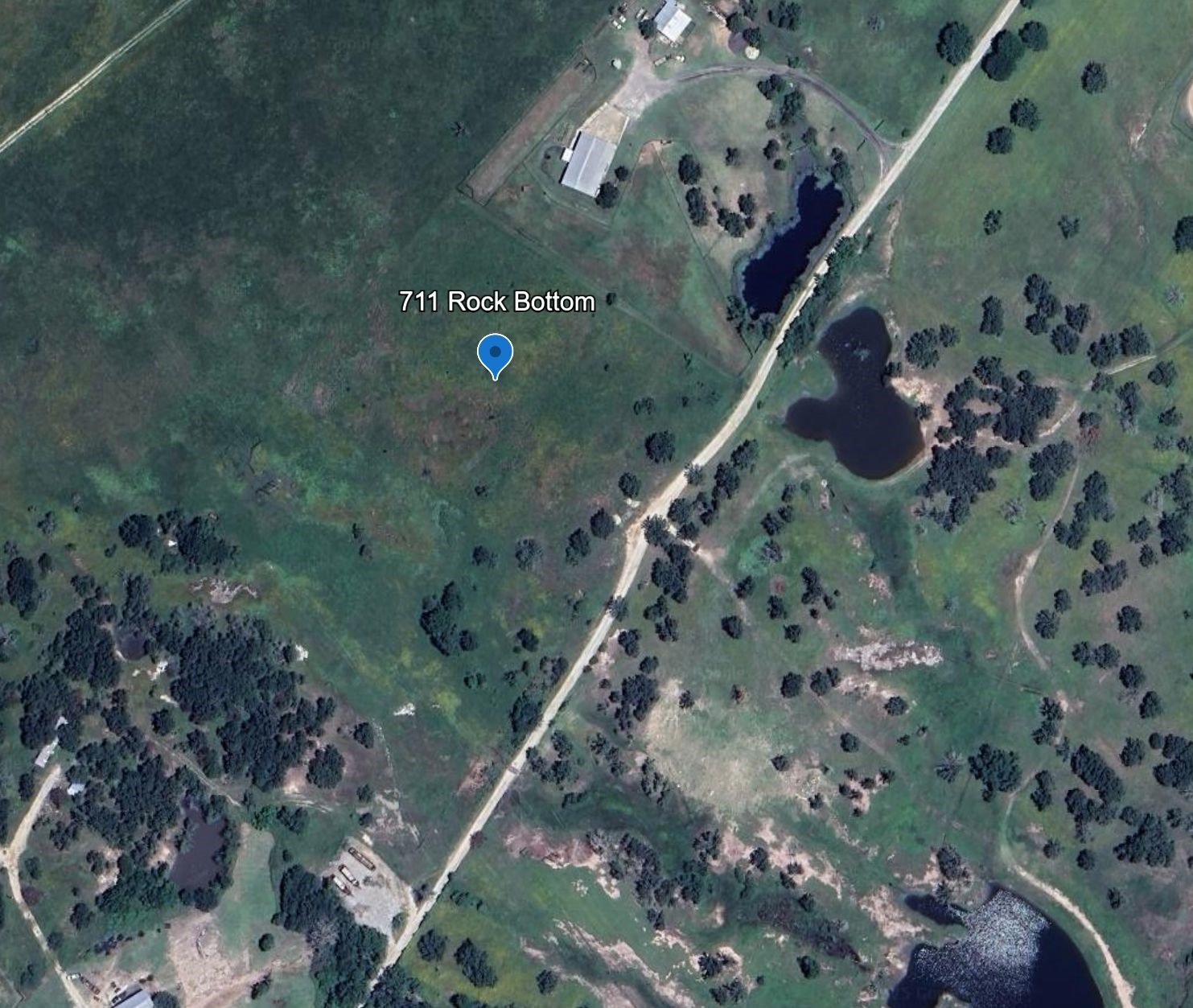 711 Rock Bottom Road Navasota, TX 77868 - Photo 6 of 6 a picture of tree