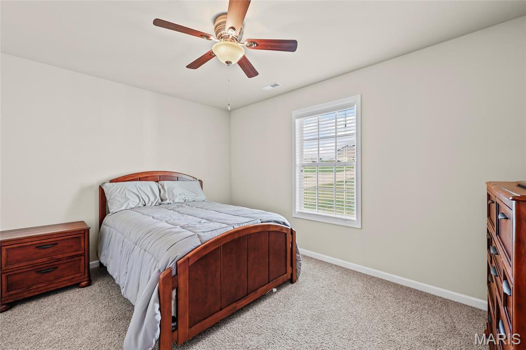 113 Braun Crossing Road Jackson, MO 63755 - Photo 13 of 27