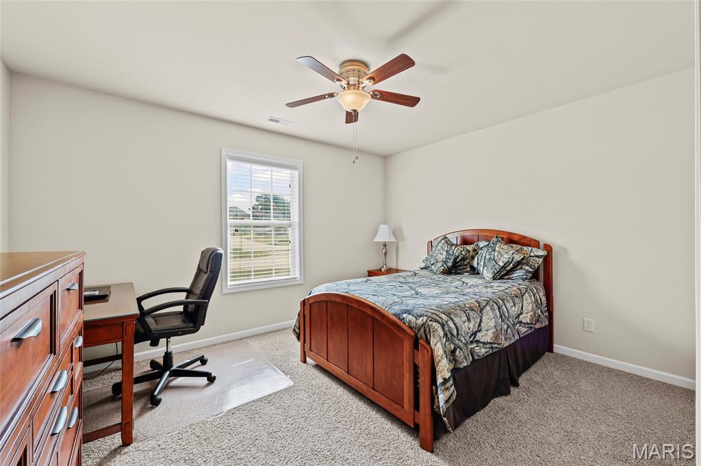 113 Braun Crossing Road Jackson, MO 63755 - Photo 16 of 27