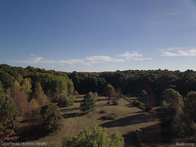 12749 Shaffer Road Davisburg, MI 48350 - Photo 80 of 98 Gallery Image 80