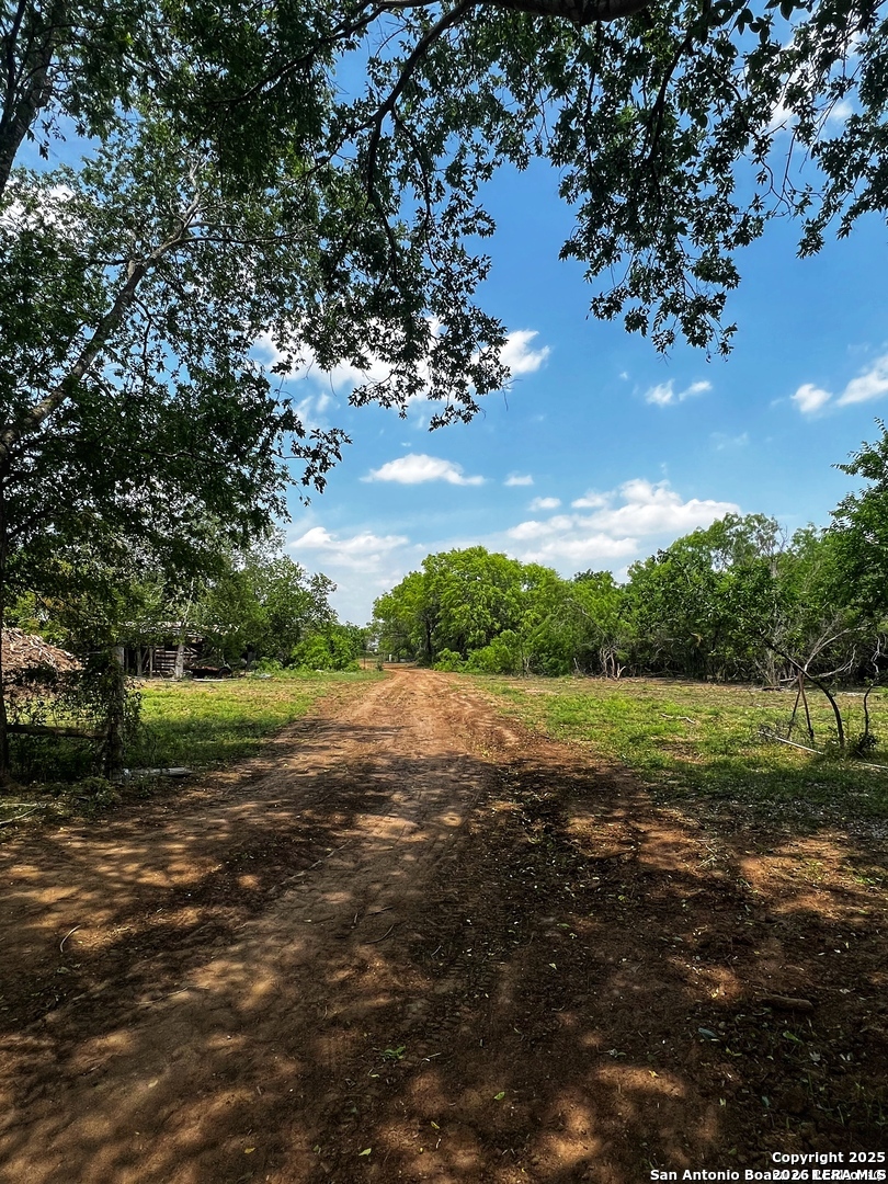 304 County Road 6611 Devine, TX 78016 - Photo 10 of 16