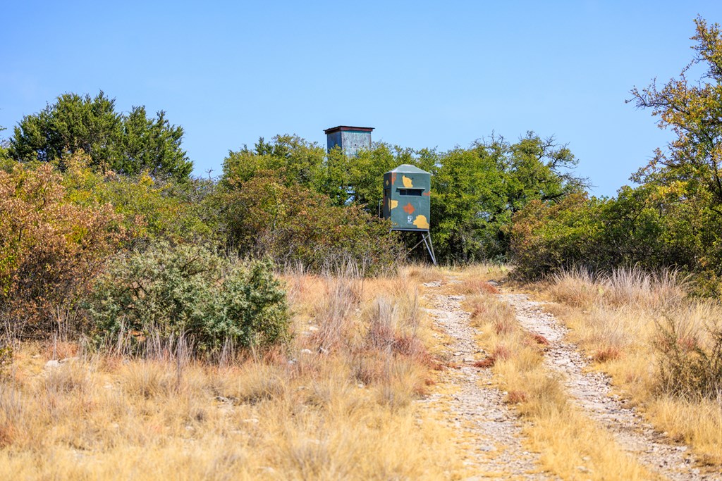 3417 Kc 443 Harper, TX 78631 - Photo 12 of 65 a view of a lake with a yard