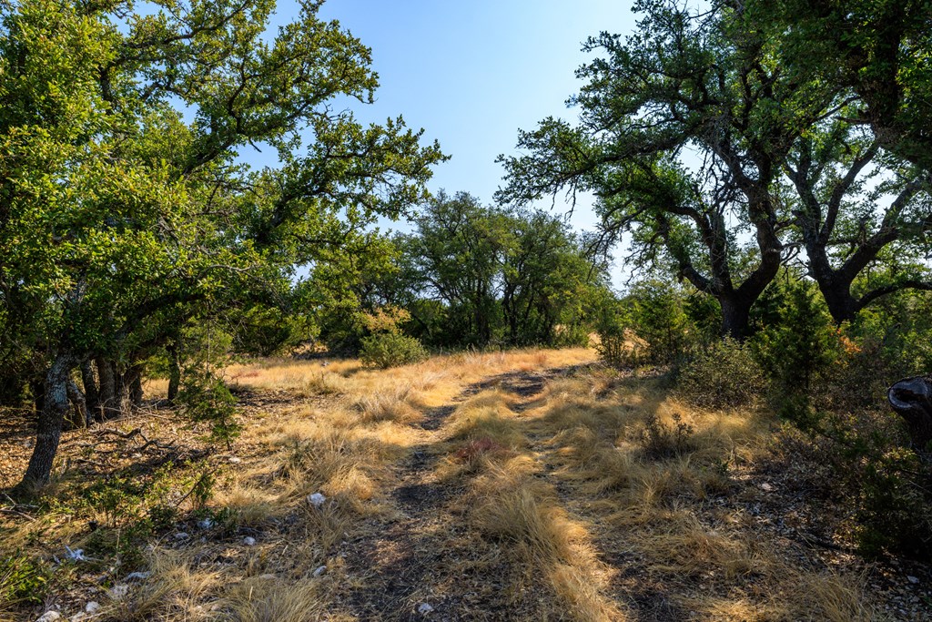 3417 Kc 443 Harper, TX 78631 - Photo 13 of 65