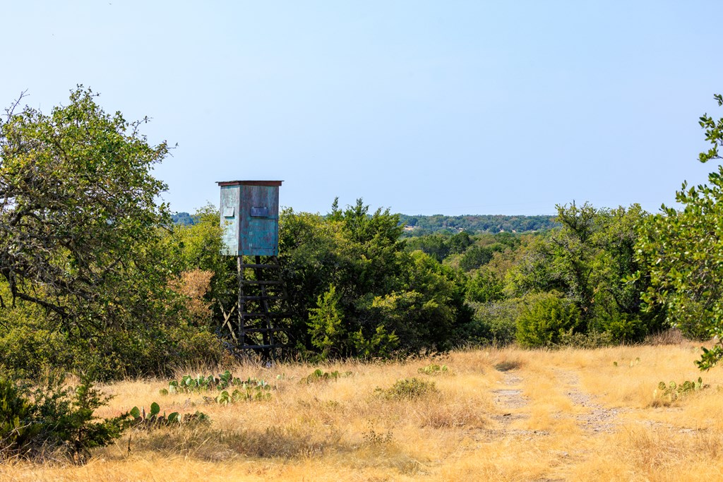 3417 Kc 443 Harper, TX 78631 - Photo 15 of 65 a view of a yard covered in snow