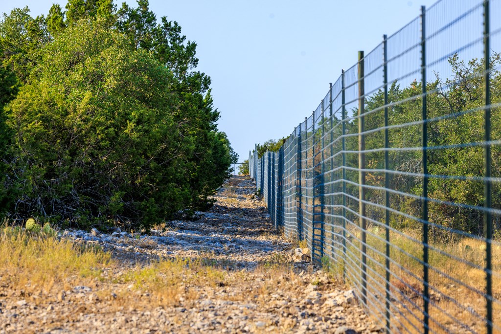3417 Kc 443 Harper, TX 78631 - Photo 25 of 65 a view of a yard with plants and a bench