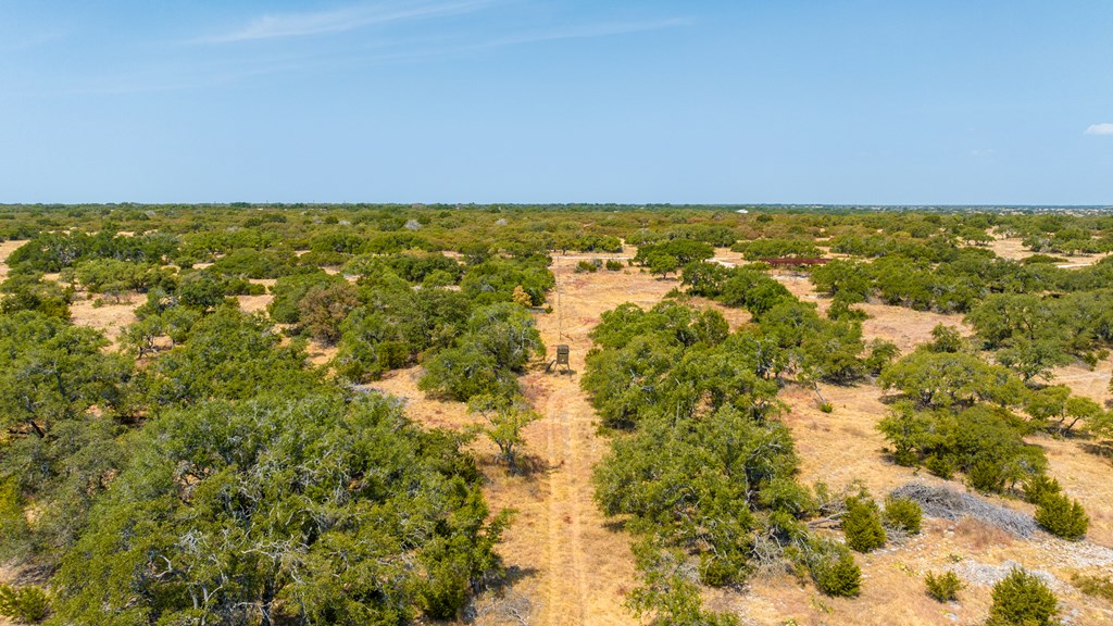 3417 Kc 443 Harper, TX 78631 - Photo 27 of 65