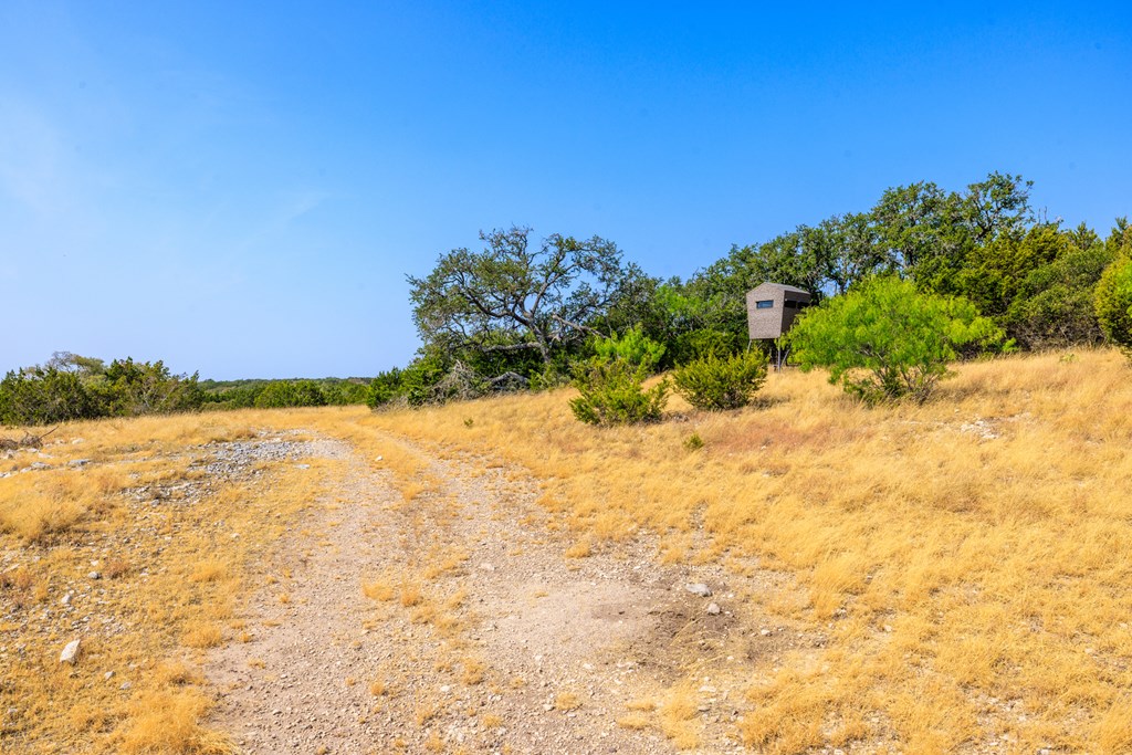 3417 Kc 443 Harper, TX 78631 - Photo 30 of 65 a view of a yard with trees