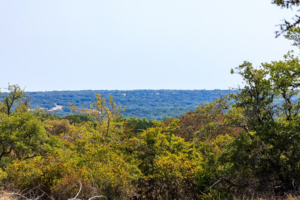 3417 Kc 443 Harper, TX 78631 - Photo 3 of 65