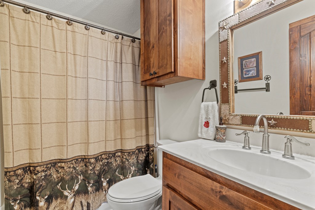 3417 Kc 443 Harper, TX 78631 - Photo 42 of 65 a bathroom with a sink a toilet and shower curtain