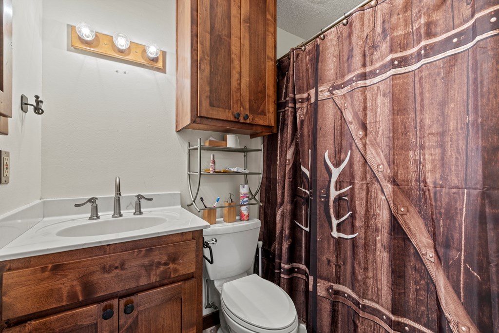 3417 Kc 443 Harper, TX 78631 - Photo 46 of 65 a bathroom with a sink a toilet and shower curtain