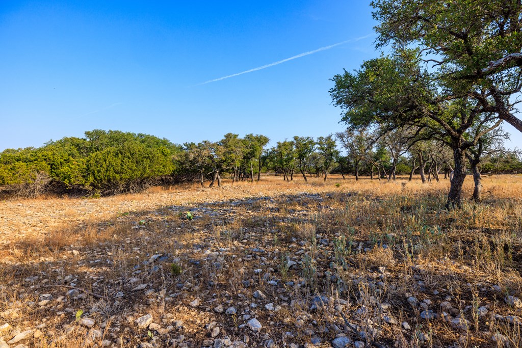 3417 Kc 443 Harper, TX 78631 - Photo 49 of 65