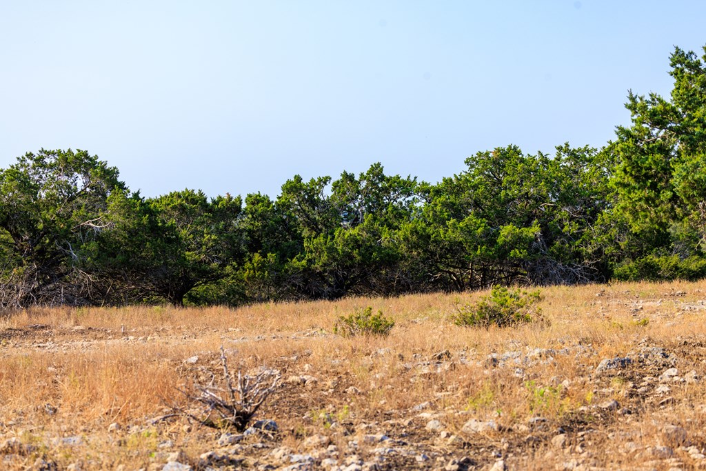 3417 Kc 443 Harper, TX 78631 - Photo 57 of 65 a view of snow yard